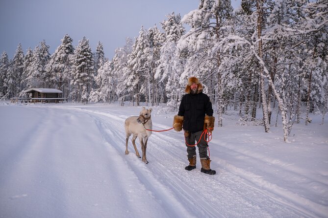 Ranua Lupland Activity Park Entry with Reindeer Experience - Warm-up strategy: sauna, ice bath, and fire-side comfort