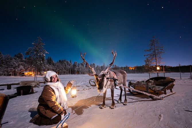 Ranua Lupland Aurora Activity Park – After Dark Adventure - Key highlights worth caring about