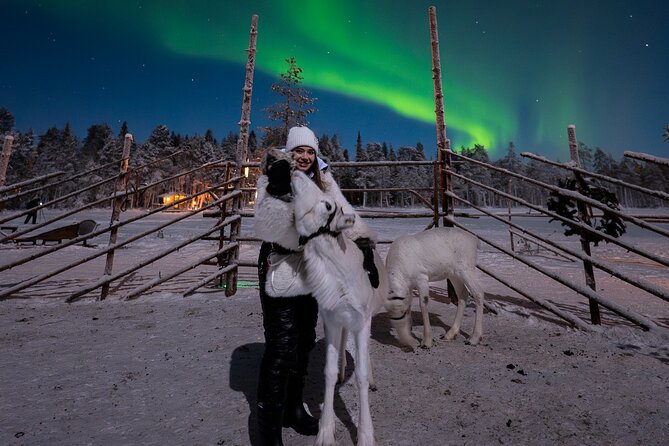 Ranua Lupland Aurora Activity Park – After Dark Adventure - The main event: the private pond evening with reindeer and skating