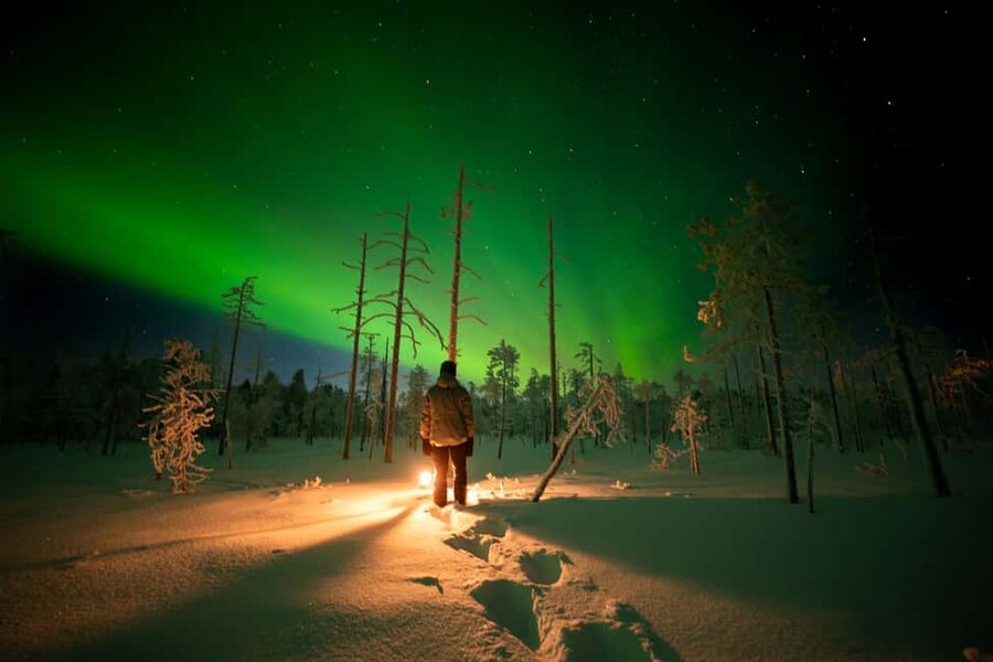 Ranua: Northern Lights tour with Campfire Meal & Pro Camera - Key highlights worth your attention