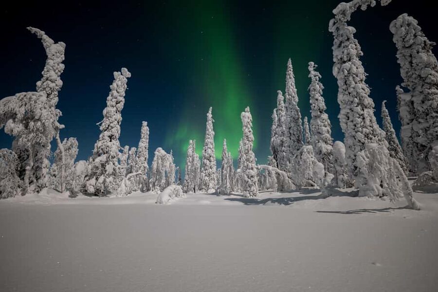 Ranua: Northern Lights tour with Campfire Meal & Pro Camera - Transportation and pickup: what to do so you do not stress