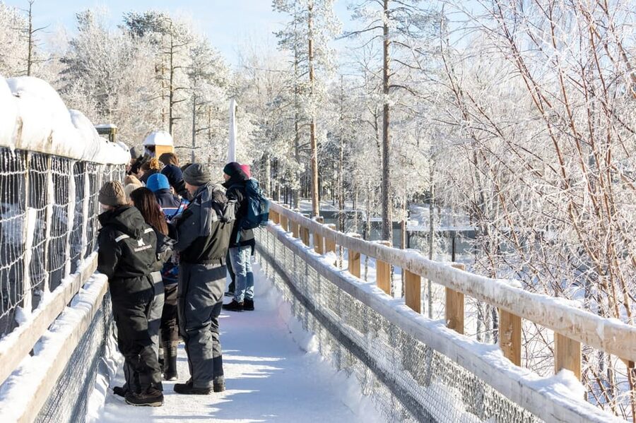 Ranua: Wildlife Park Entrance Ticket - Animals in Their Natural Pace: Winter Resting vs Winter Action
