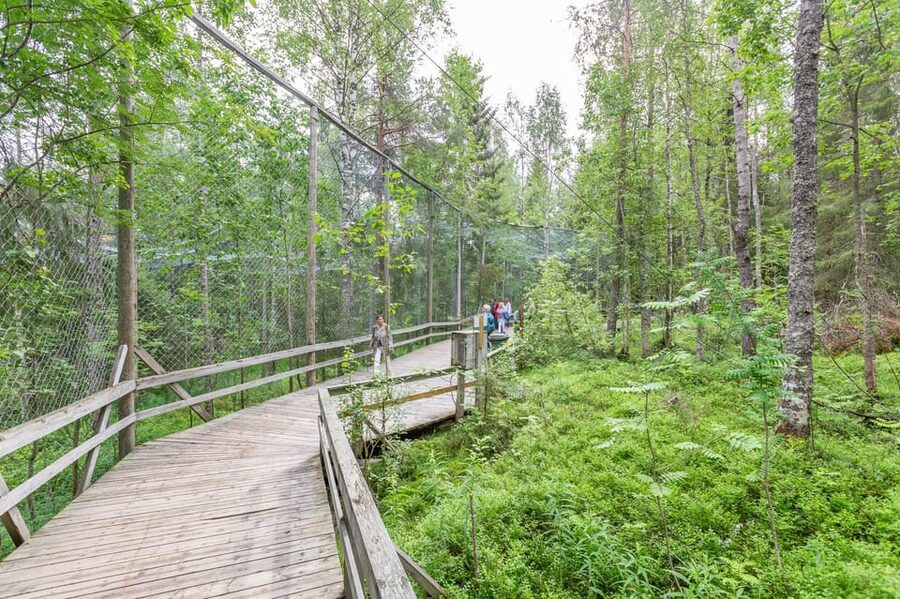 Ranua: Wildlife Park Entrance Ticket - Finland’s Only Polar Bear: How to Think About the Big Attraction