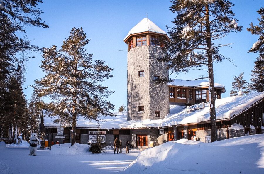 Ranua Wildlife Park Guided Tour from Rovaniemi, With Lunch - Key highlights to know before you go