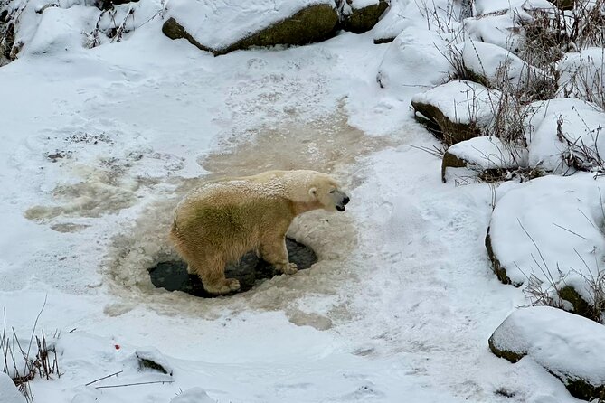 Ranua Zoo Arctic Wildlife Park with Private Transport & Lunch - Booking Smart: Confirmation, Weather, and Group Minimums