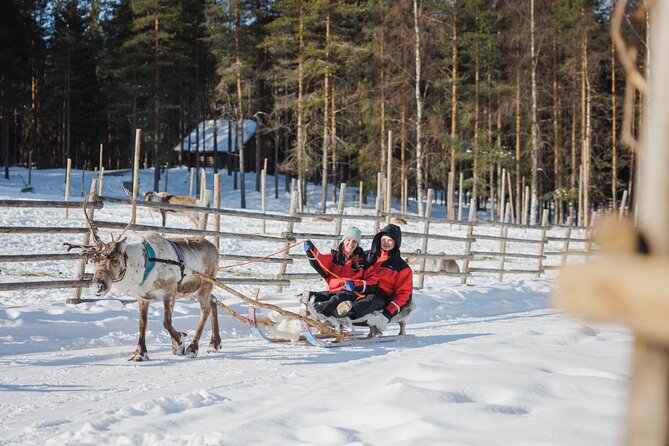 Reindeer Experience with Sledge Ride - The 500m reindeer sleigh ride: cozy, classic, and intentionally short