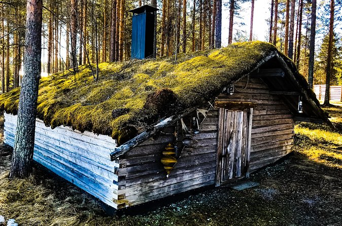 Reindeer Farm Summer Experience - Time on the Ground: 2 Hours 30 Minutes That Moves