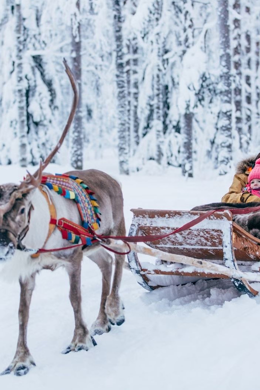 Reindeer Farm Visit with Sleigh Ride - The Sleigh Ride: Small Package, Big Atmosphere