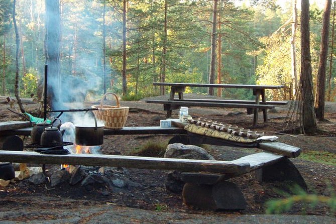 Reindeer Park Adventure - Private-vehicle comfort and Wi-Fi: small perks with real impact