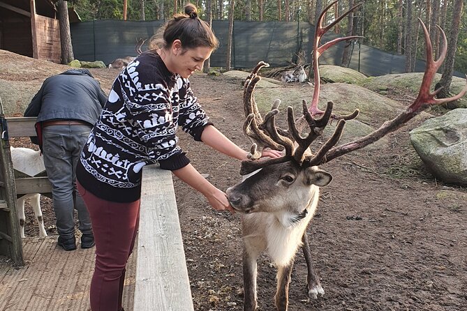 Reindeer Park Adventure - Timing and communication: what to watch on the day