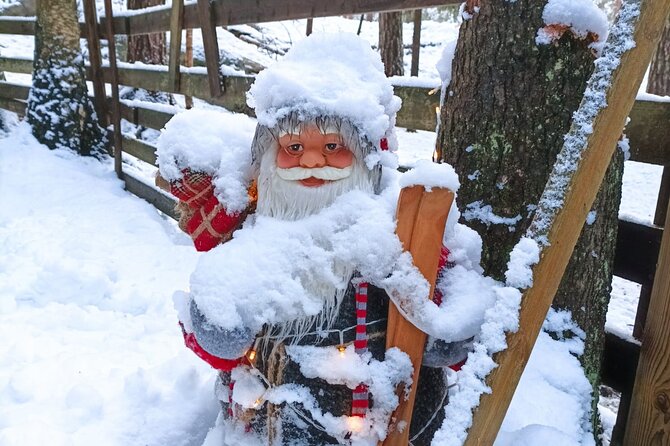 Reindeer Park & Horse Stables Safari - Key things to know before you go