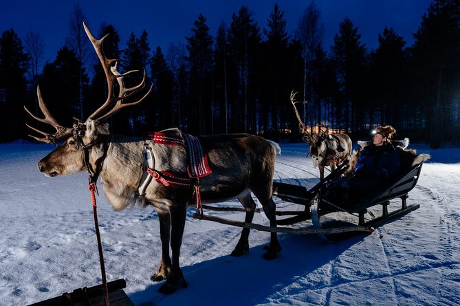 Reindeer Sleigh Ride Across the Night in Apukka Resort Rovaniemi - Getting to Apukka Resort Adventures on time, without stress