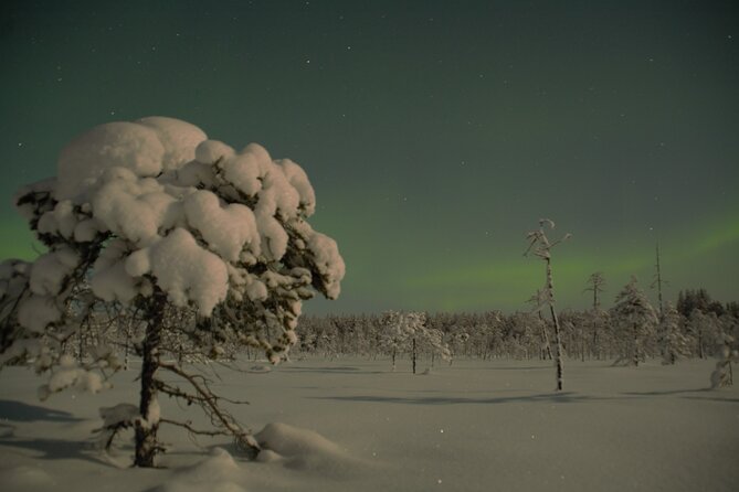 Reindeer Sleigh Ride Across the Night in Apukka Resort Rovaniemi - Northern Lights chances, and why the timing is intentional