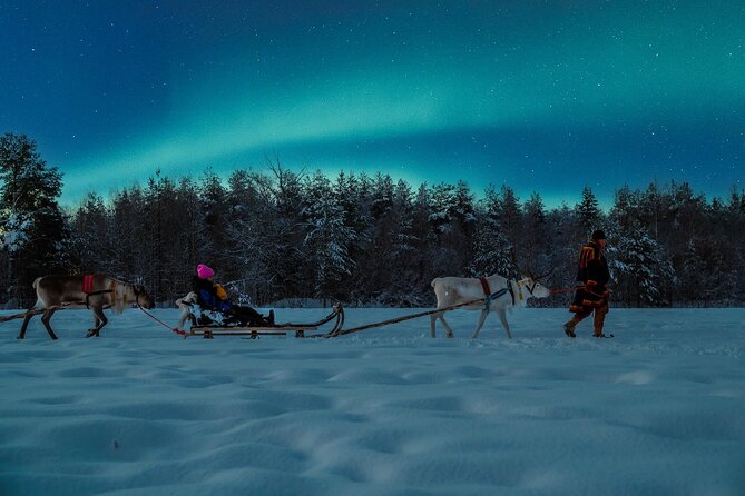 Reindeer Sleigh Ride Across the Night in Apukka Resort Rovaniemi - Who this suits best in Rovaniemi