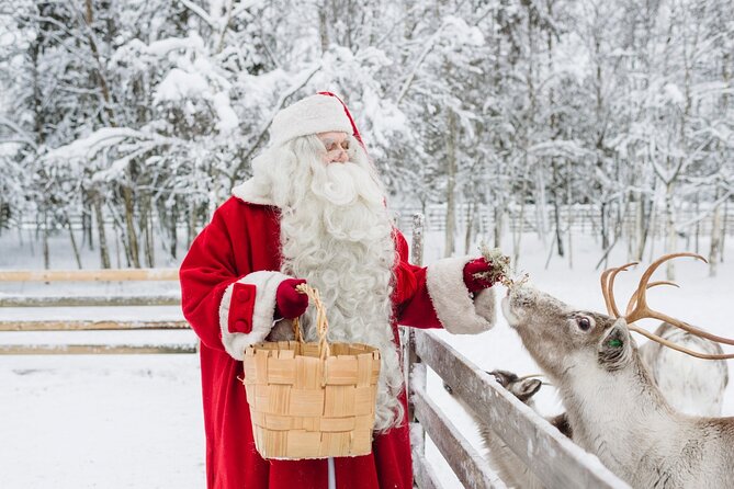 Reindeer Sleigh Ride and Farm Experience from Rovaniemi - Key highlights in plain terms