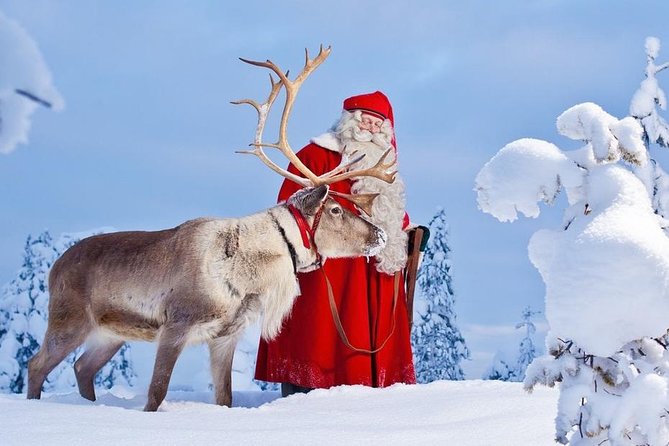 Reindeer Sleigh Ride and Farm Experience from Rovaniemi - Meeting point and getting there: no car needed, but plan your arrival
