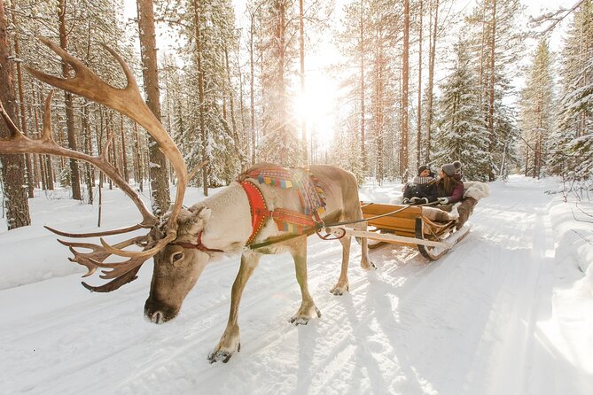 Reindeer Sleigh Ride and Farm Experience from Rovaniemi - The farm visit: learning about herders and getting close to reindeer