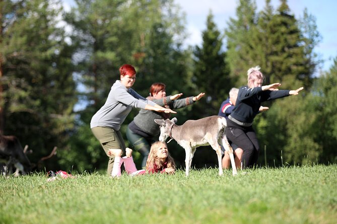 Reindeer yoga - The reindeer knowledge part: why the facts matter