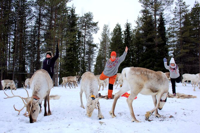 Reindeer yoga - What to wear: the real make-or-break factor