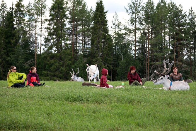 Reindeer yoga - Price and value: what $59.15 includes and what it does not