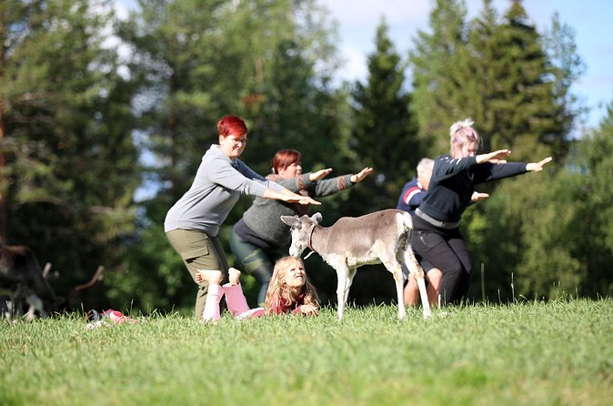 Reindeer yoga - Who should book reindeer yoga in Finland