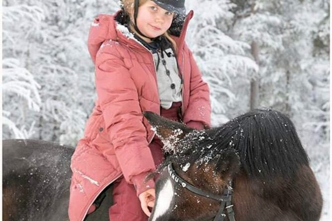 Riding Tour with Finnhorses at Santa Claus Village - Aurora Horses and the Santa Claus Village connection