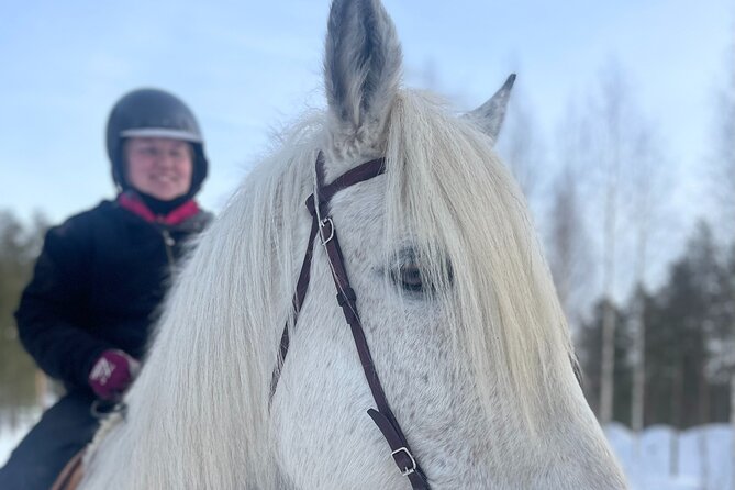Riding Tour with Finnhorses at Santa Claus Village - Safety and clothing: what you must bring (and what helps a lot)