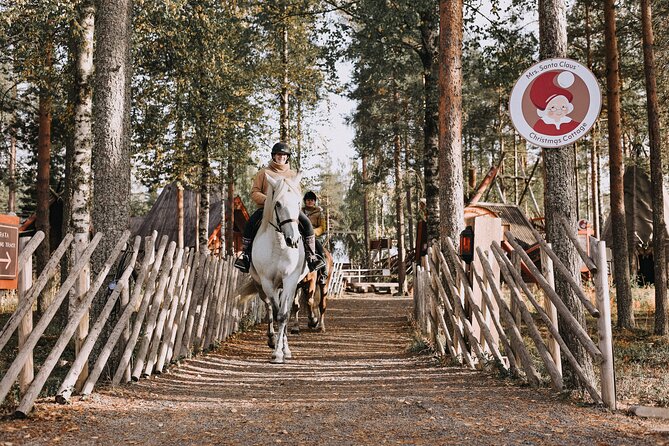 Riding Tour with Finnhorses at Santa Claus Village - Warm drink, cookies, and the Finnhorse story at the campfire