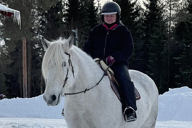 Riding Tour with Finnhorses at Santa Claus Village - Best for families, beginners, and people who want calm