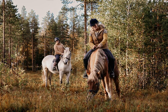 Riding Tour with Finnhorses at Santa Claus Village - A realistic drawback to consider