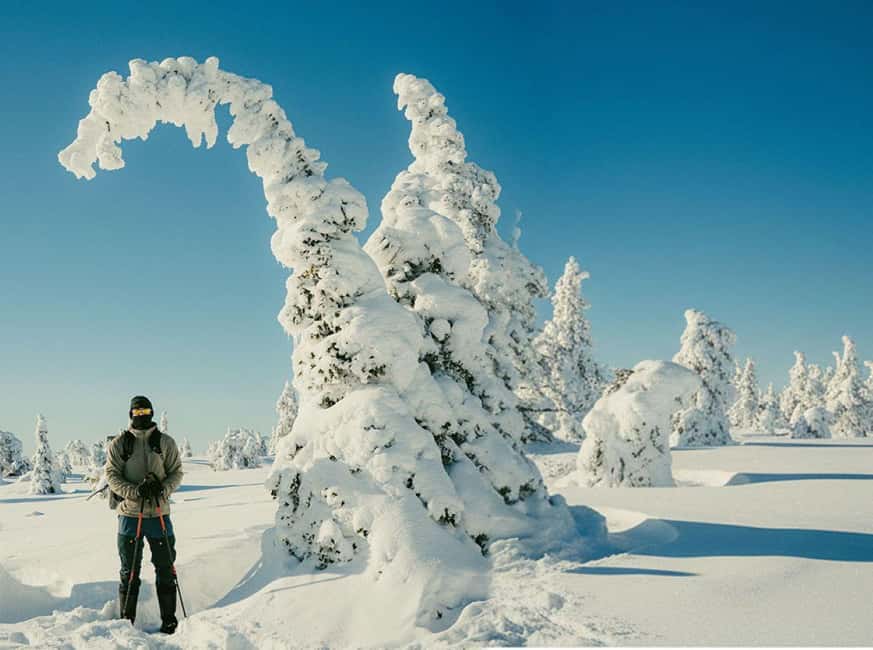Riisitunturi & Frozen Waterfall Full Day Tour with Photos - Riisitunturi National Park hike: snow forests and a hilltop goal