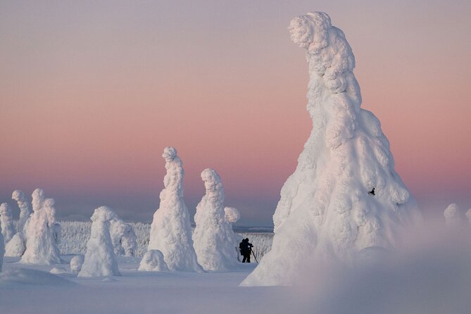 Riisitunturi Snow Monsters Winter Hike from Rovaniemi with Lunch - Key highlights you will care about