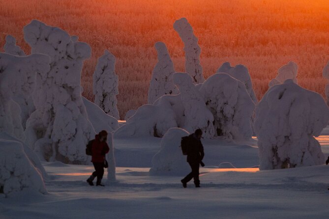 Riisitunturi Snow Monsters Winter Hike from Rovaniemi with Lunch - Riisitunturi Snow Monsters: why this hike feels special in Lapland winter