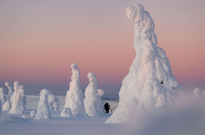 Riisitunturi Snow Monsters Winter Hike from Rovaniemi with Lunch - The snow monsters lesson: why the guide stops so often