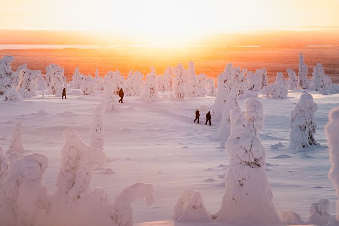 Riisitunturi Snow Monsters Winter Hike from Rovaniemi with Lunch - What to wear: thermal overalls and boots make the hike easier