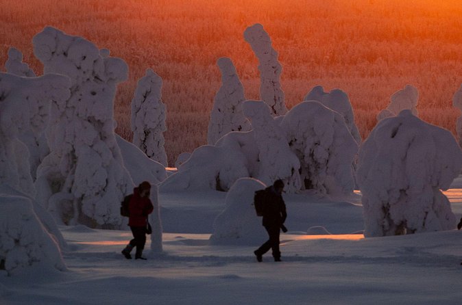 Riisitunturi Snow Monsters Winter Hike from Rovaniemi with Lunch - Who this tour is best for, and who should skip it