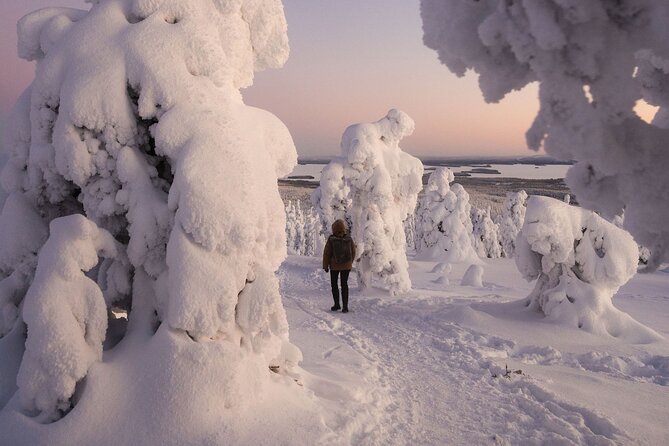 Riisitunturi Snow Monsters Winter Hike from Rovaniemi with Lunch - The 8:00 am start, pickup zone, and how the day actually flows