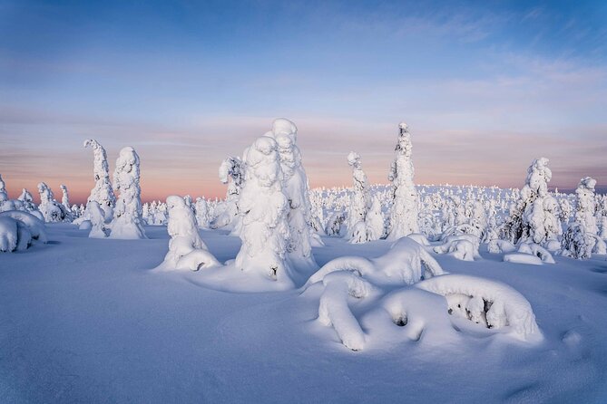 Riisitunturi wilderness adventure - Key highlights you should care about