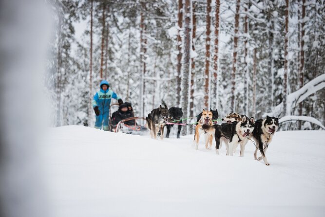Rovaniemi 2 days Activities Package - What’s included, and what to bring (so the cold doesn’t win)