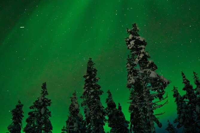 Rovaniemi 2 days Activities Package - Snowmobile vs. animal time: how to set expectations for real Lapland fun