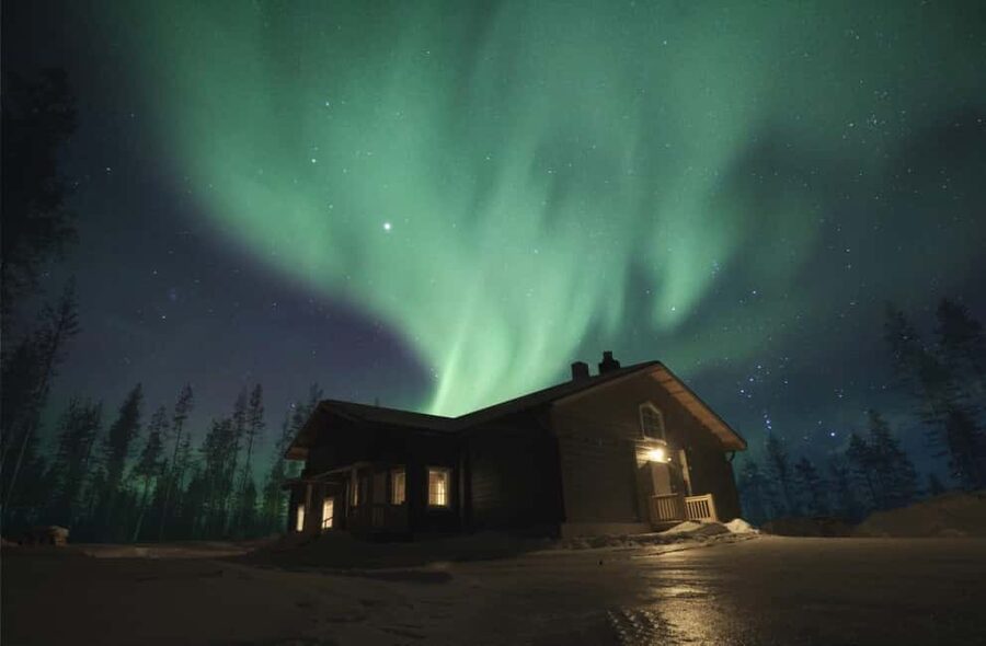 Rovaniemi: 2km Aurora Reindeer Safari Through the Forest - Key highlights worth your attention