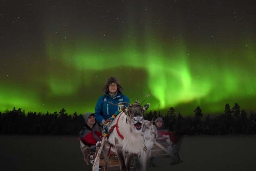 Rovaniemi: 2km Aurora Reindeer Safari Through the Forest - Why this 2 km aurora reindeer safari feels calmer than most