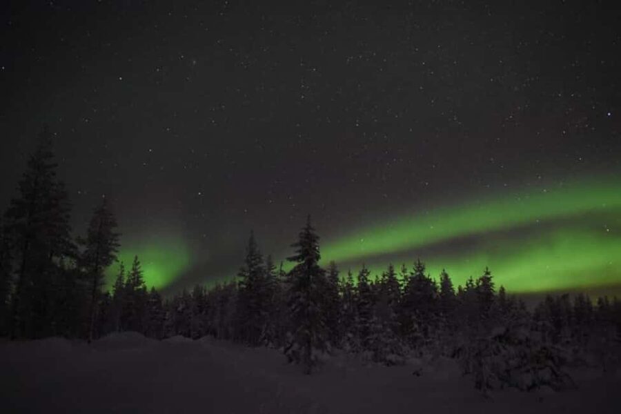 Rovaniemi: 2km Aurora Reindeer Safari Through the Forest - Reindeer stories at the open fire, why the stop matters