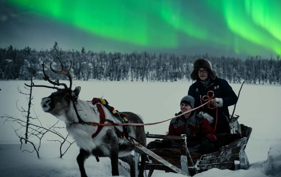 Rovaniemi: 2km Aurora Reindeer Safari Through the Forest - The nighttime forest sled ride, distance and what it actually feels like