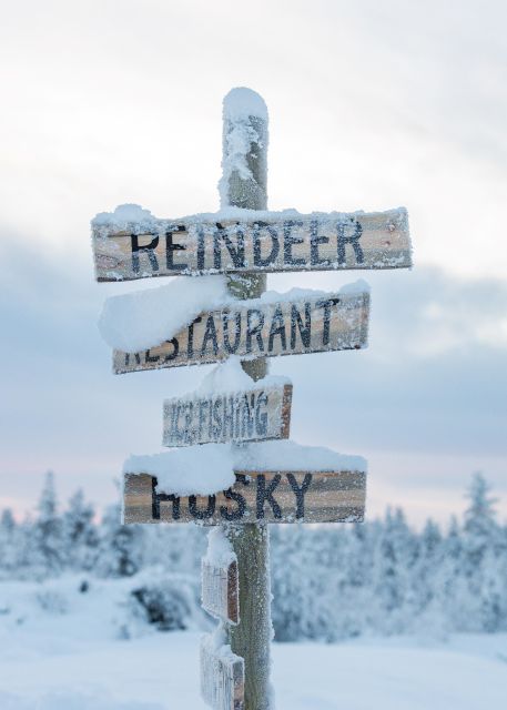 Rovaniemi: 2km Reindeer Sled Ride Through the Forest - Quick key points before you book