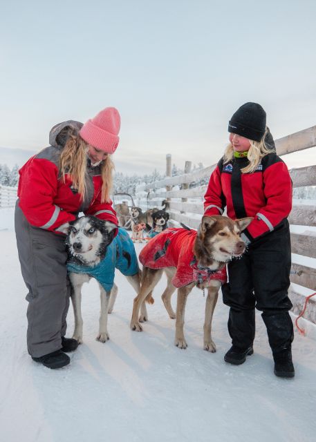 Rovaniemi: 4-5 km Self-Drive Husky Sled Through the Forest - Key highlights worth getting excited about