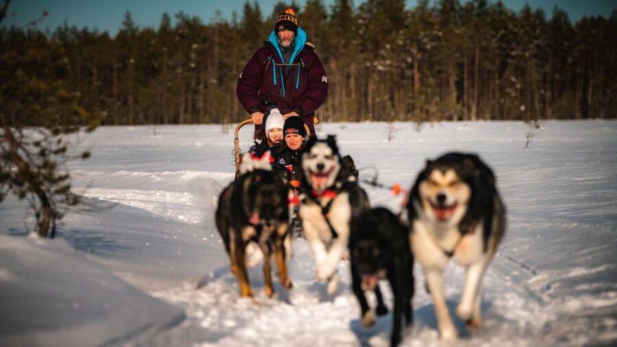 Rovaniemi: 4-5 km Self-Drive Husky Sled Through the Forest - The 30-minute, 4-5 km husky sled ride you actually control