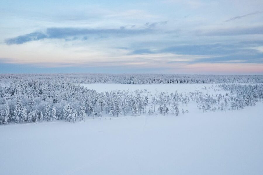 Rovaniemi: 4-5 km Self-Drive Husky Sled Through the Forest - How the guided briefing sets you up for a smoother, safer ride