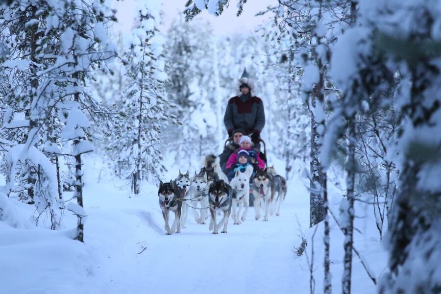 Rovaniemi: 7km Self-Drive Husky Sleigh Ride Adventure - The practical stuff: pickup, time in the cold, and what to wear