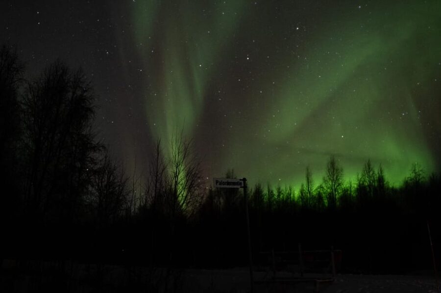 Rovaniemi: 97.3% Success Rate Aurora Group Tour with Photos - Key things I’d circle before you book